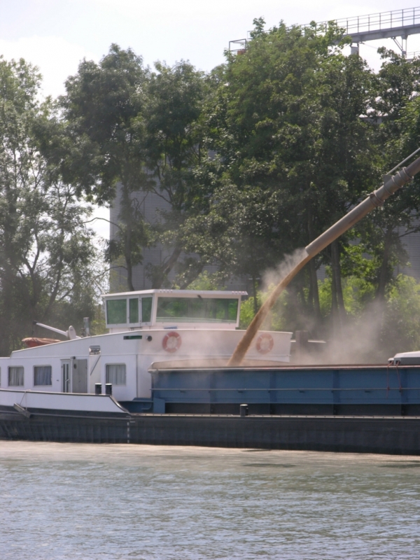 Du blé pour les péniches (Photo PJL)