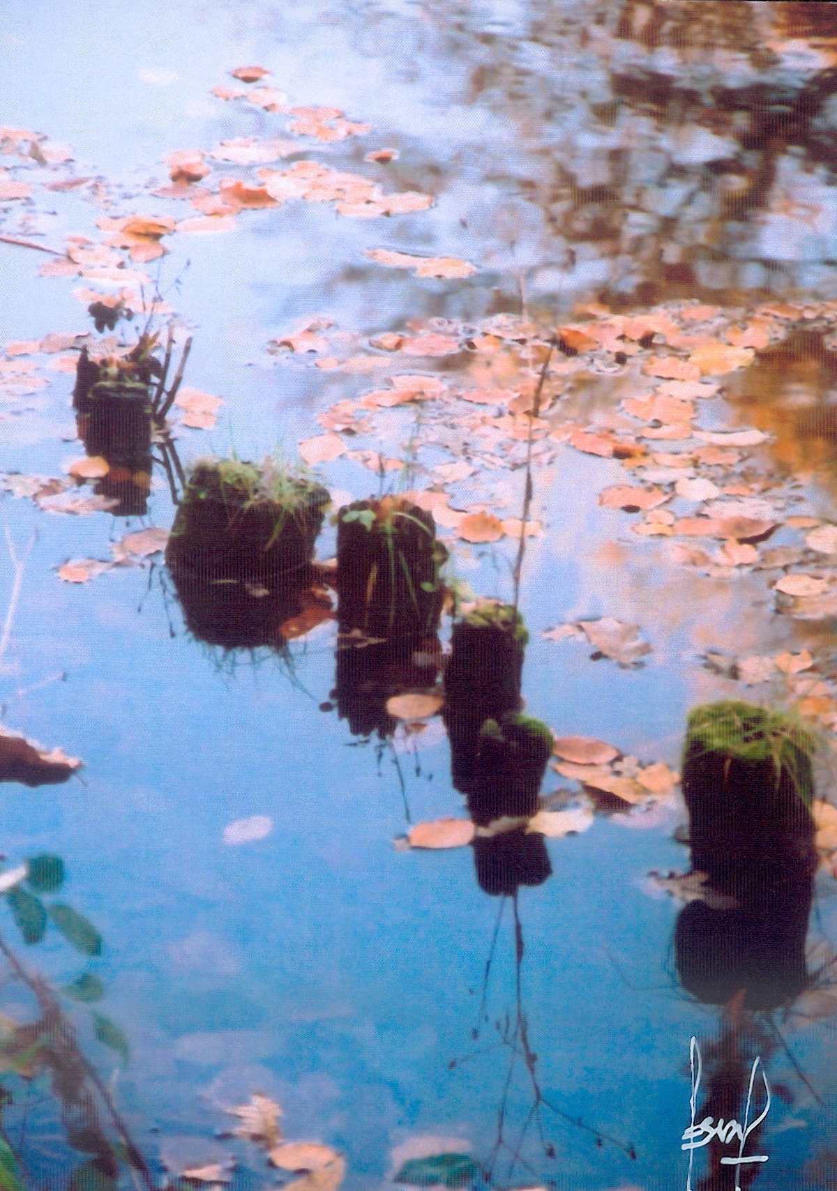 Photo : François Rescan / Maison du canal d'Ille-et-Rance