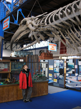 Photo : Musée portuaire de Rouen