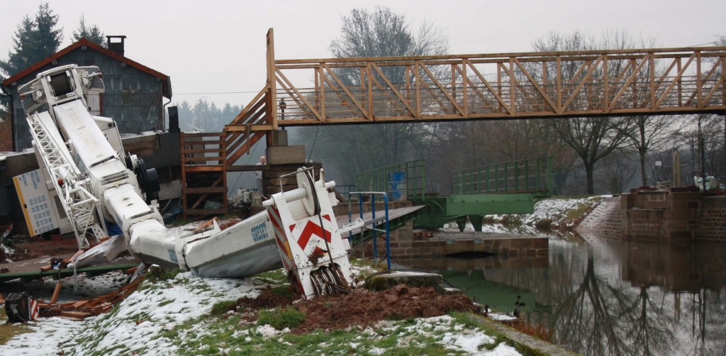 La grue de Selles mord la poussière (Photo D.Coulon)