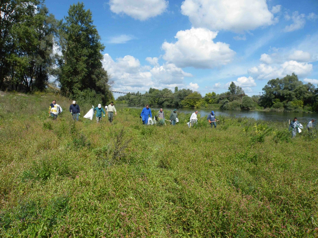 Chasse à l'Ambroisie (Photo M.Rebillard)