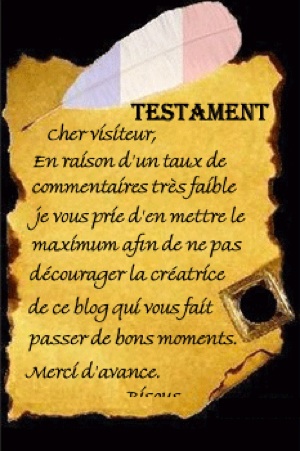 Le testament de Nadège (blog Nautyka)