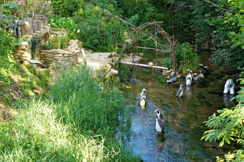 Les pinguins de l'écluse 87Y (Photo G.d'Arcangeli)