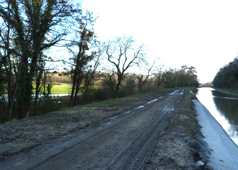 Le canal latéral suinte dans les prés (Photo V. Brancotte)