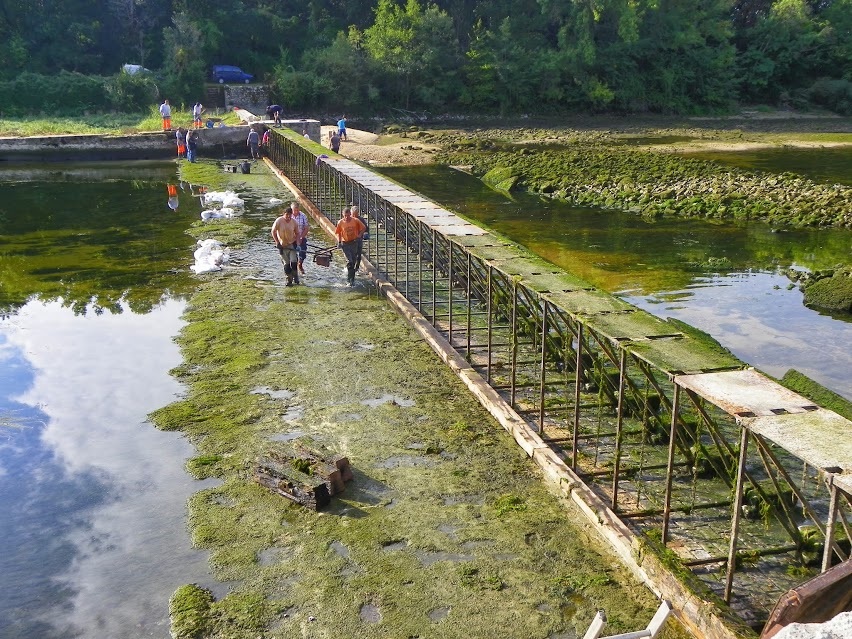 Retrait des vieilles longrines du barrage de Vallagon (Photo V.Loison)