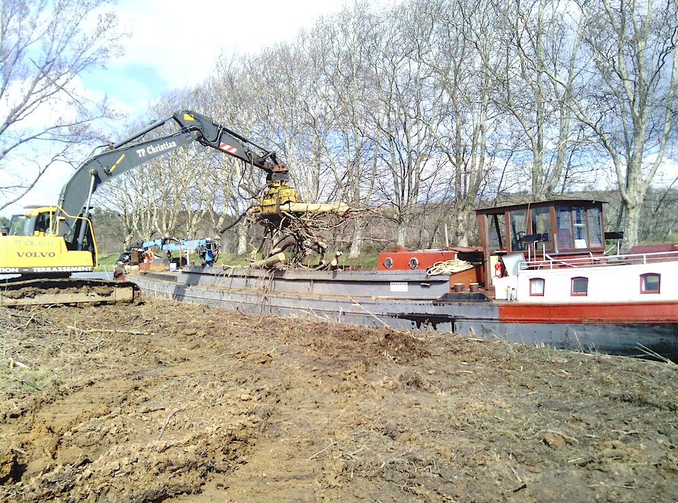 Mise en cale des platanes sacrifiés (Photo VNF-SO)