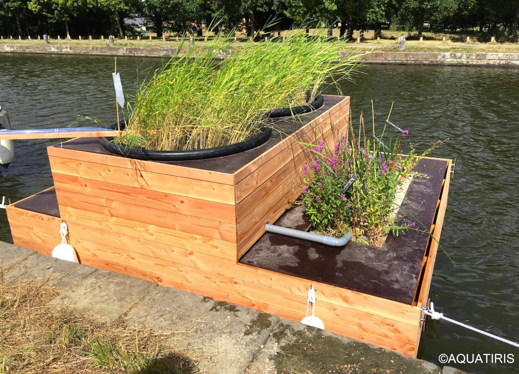 Jardin d'assainissement flottant à Hédé (Photo Aquatiris)