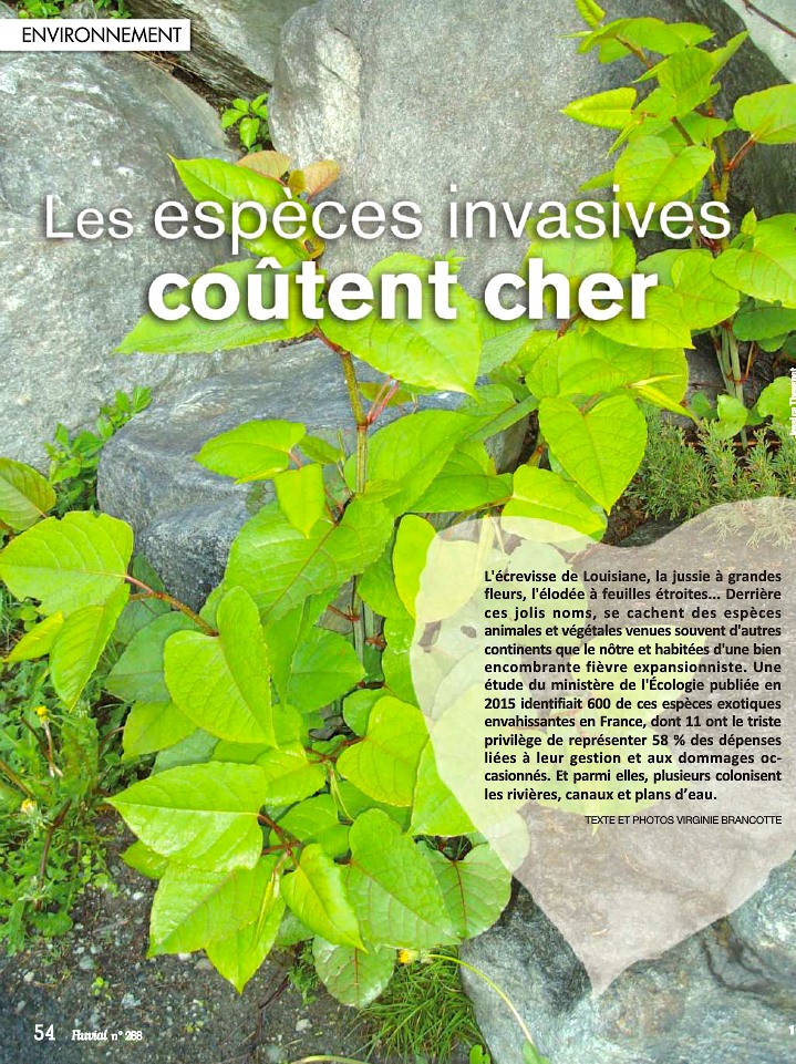 Espèces invasives (Fluvioal n°268)