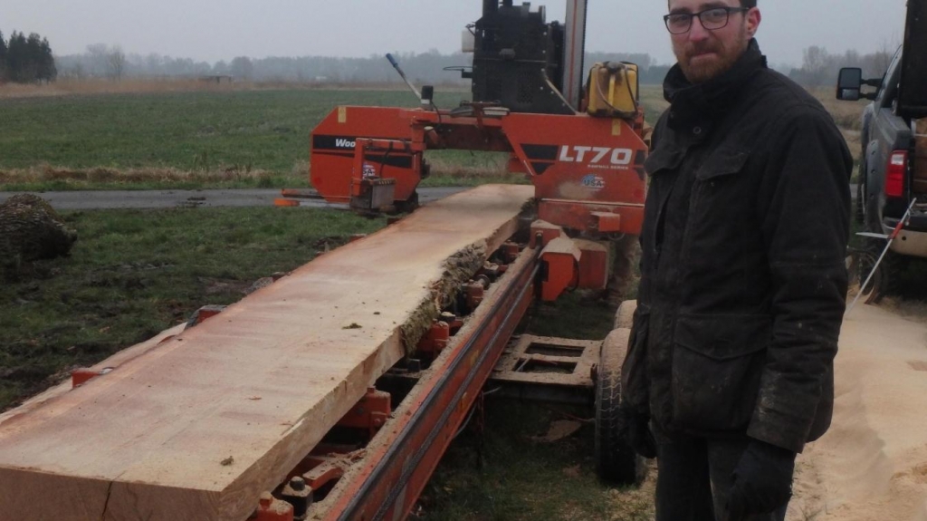 Cinq beaux chênes de la forêt de Clairmarais ont été débités avec précision en une seule journée. (Photo D.R. - La Voix du Nord)