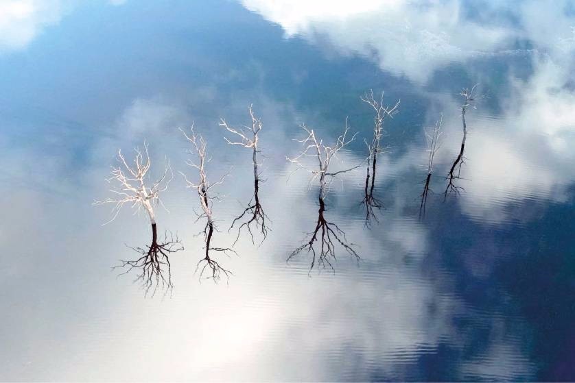 Nicolas Charles avait suivi la vidange du lac de Guerlédan, en 2015, et avait pu en extraire de magnifiques clichés. (Photo Sky Trees © Nicolas Charles)