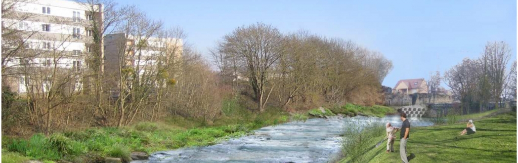 Aménagement du canal du Cornillon - passe à poissons (Photo VNF)