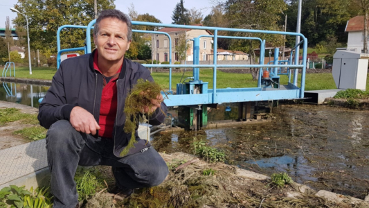 Thierry Matuchet montre à quoi ressemble cette plante, désignée à tort comme une algue, à l’écluse de Marnaval. (Photo D.R.)