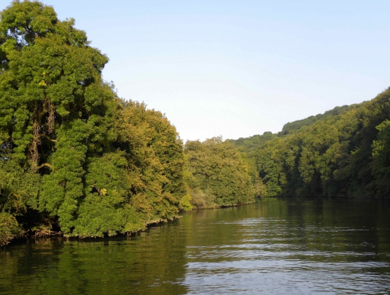 "Saône sensuelle que les forêts caressent" (Photo PJL)