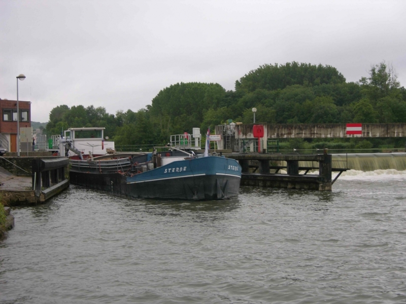 Le Sterne à l'écluse de Champfleury (Photo PJL)